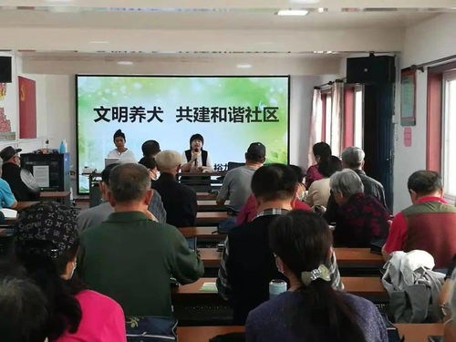 为爱宠加一道“安全锁”——光明街道养犬登记年检与免疫一站式服务纪实